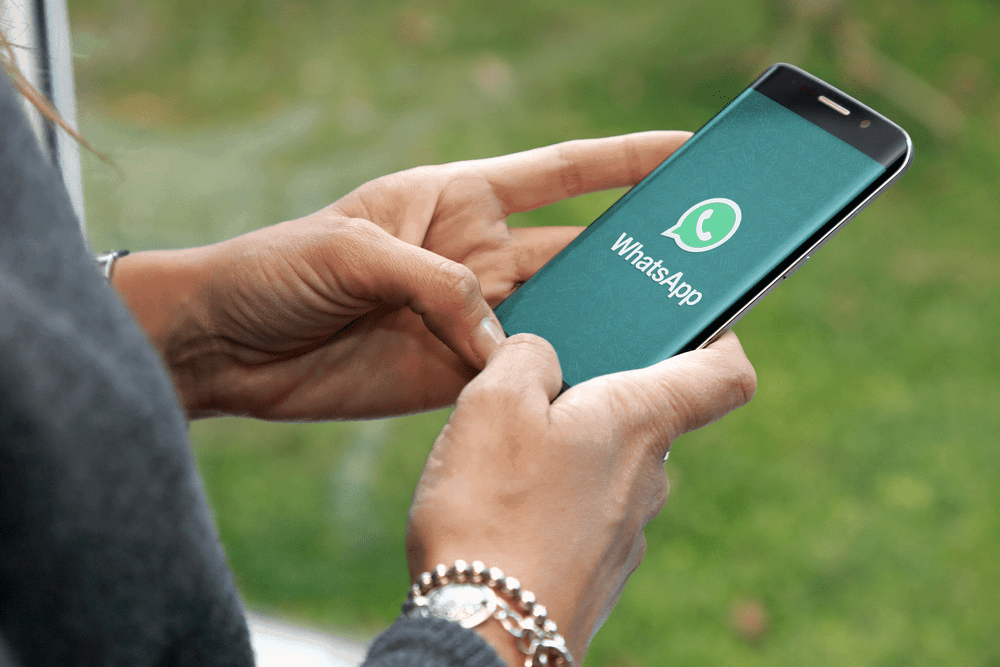 WhatsApp Stopped Working: Possible Reasons and Solution