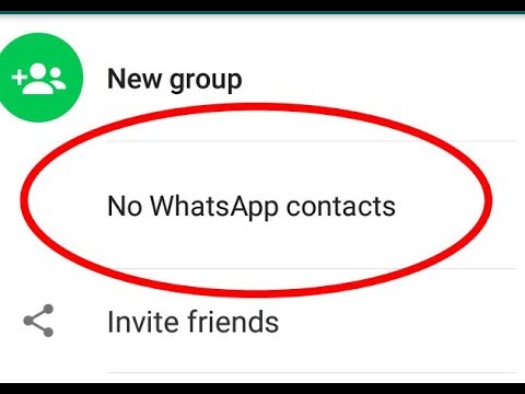 contacts not showing whatsapp